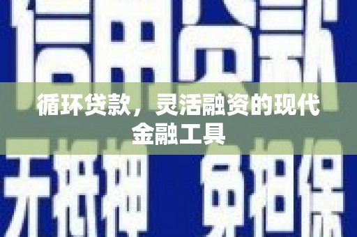 汉源循环贷款，灵活融资的现代金融工具