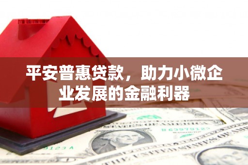 雅安平安普惠贷款，助力小微企业发展的金融利器
