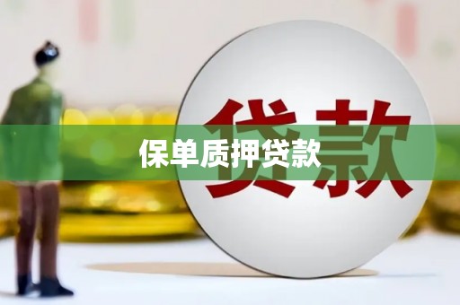 喀什保单质押贷款