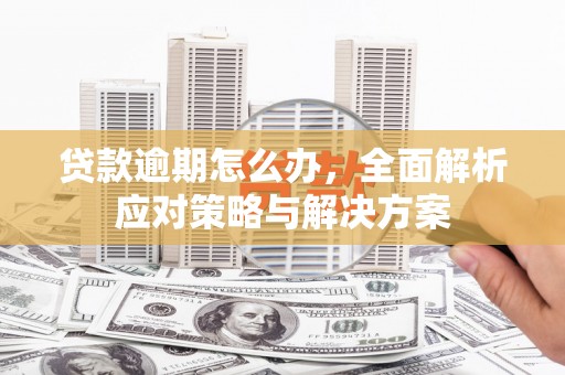 白水贷款逾期怎么办，全面解析应对策略与解决方案