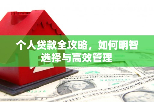 八德个人贷款全攻略，如何明智选择与高效管理