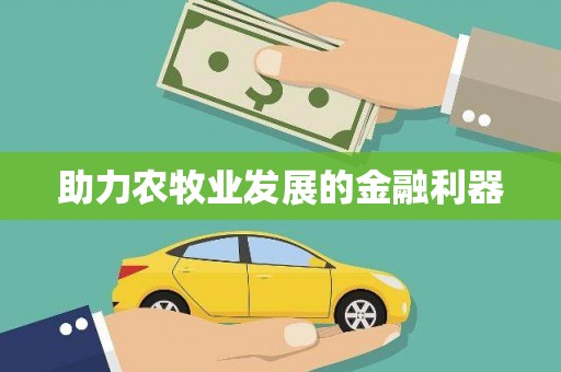 黄梅助力农牧业发展的金融利器