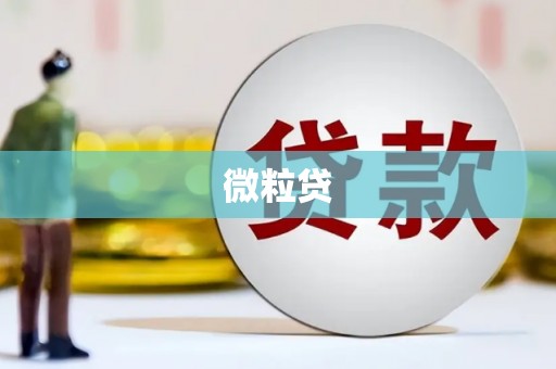 五台微粒贷