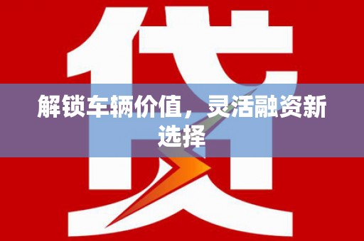 阳山解锁车辆价值，灵活融资新选择