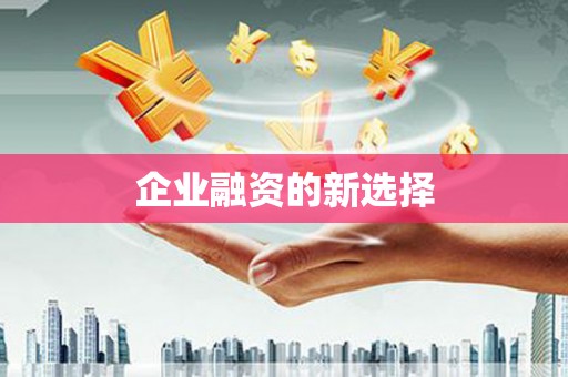 邵阳县企业融资的新选择